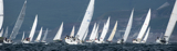 whyw13 tue 2421